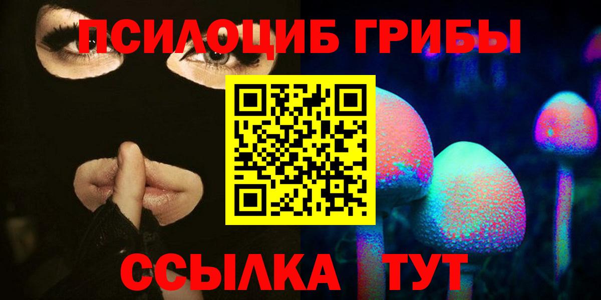 Галлюциногенные грибы Psilocybe Моршанск