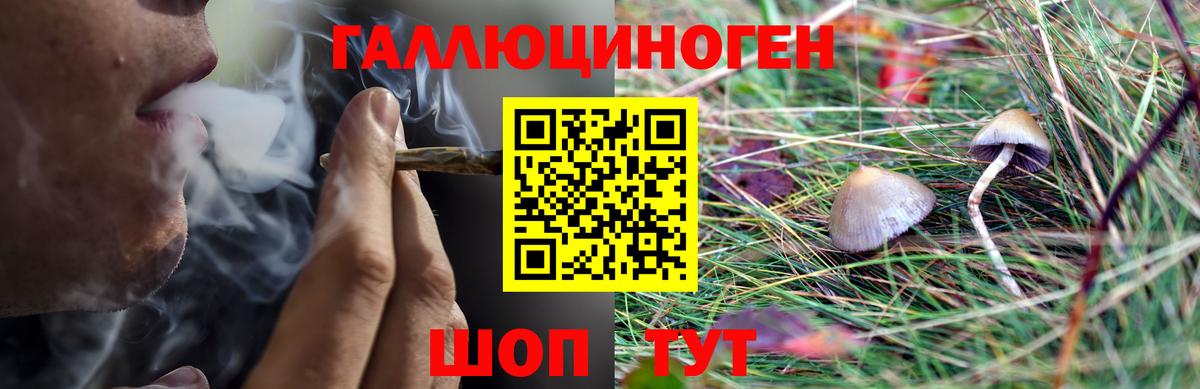 Моршанск  Галлюциногенные грибы ЛСД  Галлюциногенные грибы Psilocybine cubensis  Вход с VPN 